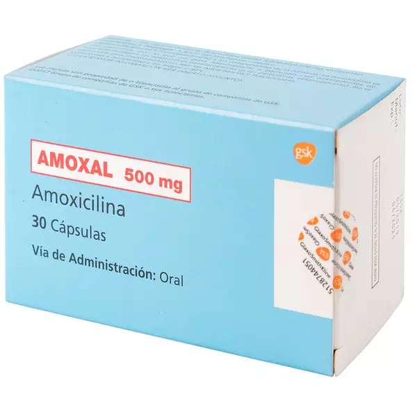 Amoxal 500 Mg