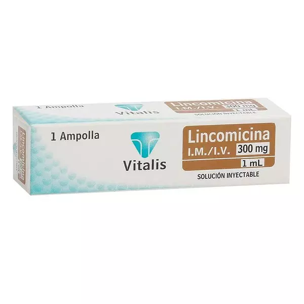 Lincomicina 300 Mg / 1 Ml Ampolla