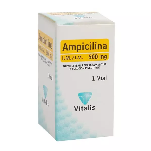 Ampicilina 500 Mg 1 Ampolla