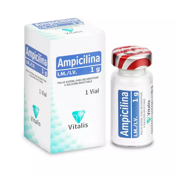 Ampicilina 1 Gr Ampolla