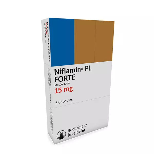 Niflamin Pl Forte 15 Mg