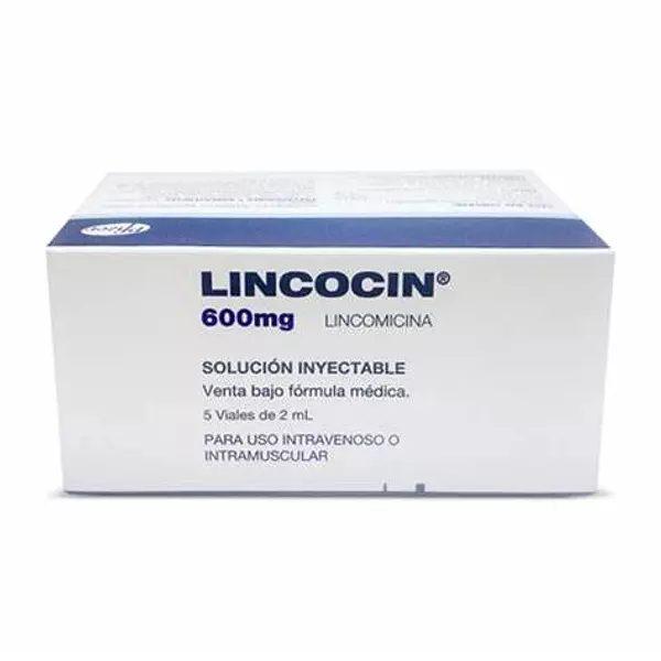 Lincocin 600 Mg