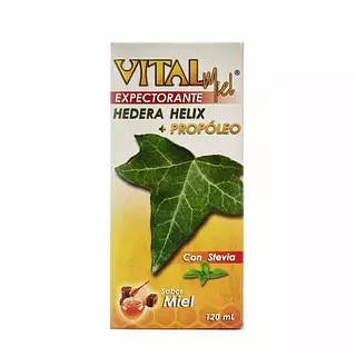 Vital Miel Expectorante