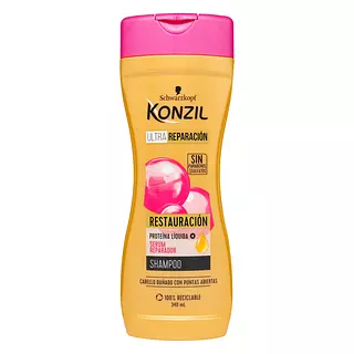 Champu Konzil Restauracion