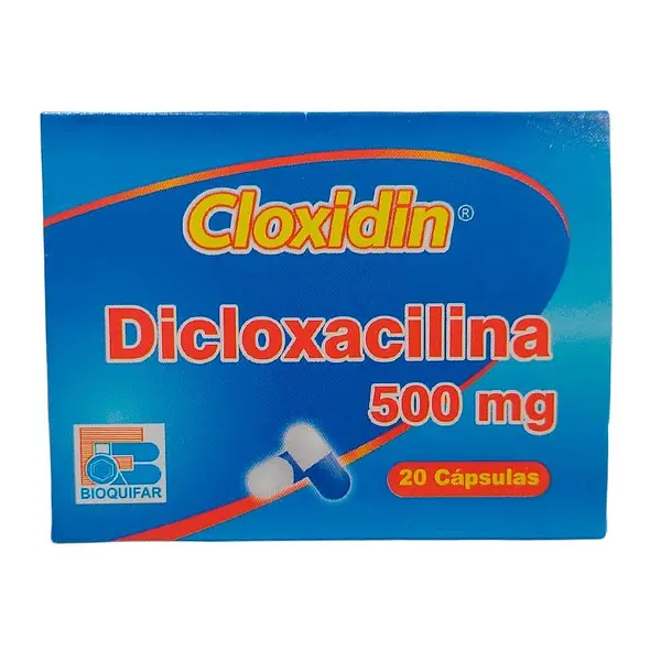 Cloxidin Dicloxacilina 500 Mg