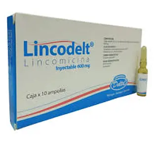 Lincodelt Lincomicina 600 Mg