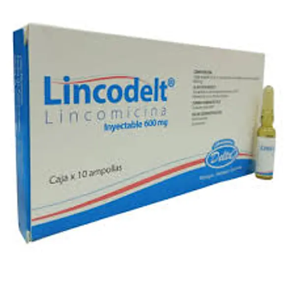 Lincodelt Lincomicina 600 Mg