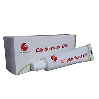 Clindamicina Crema Vaginal Farmioni