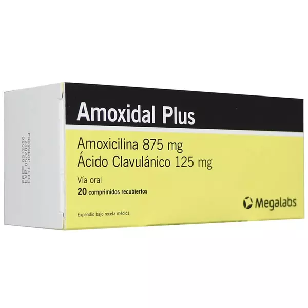 Amoxidal Plus