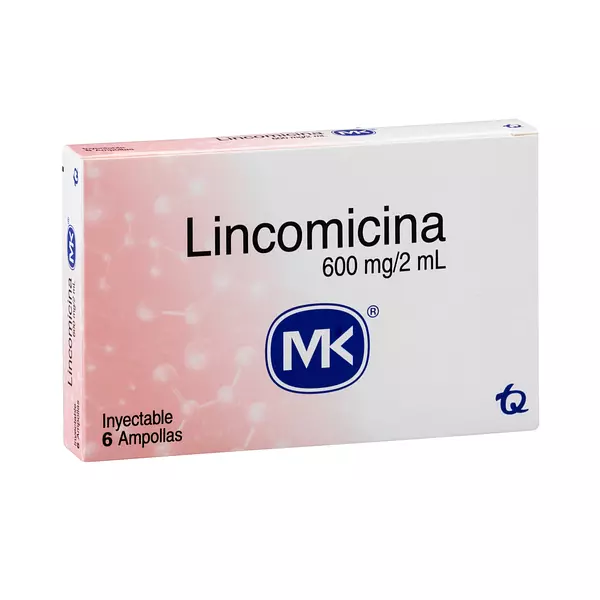 Lincomicina 600 Mg