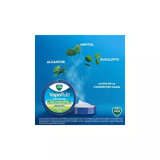 Vick Vaporub Vapocheckut