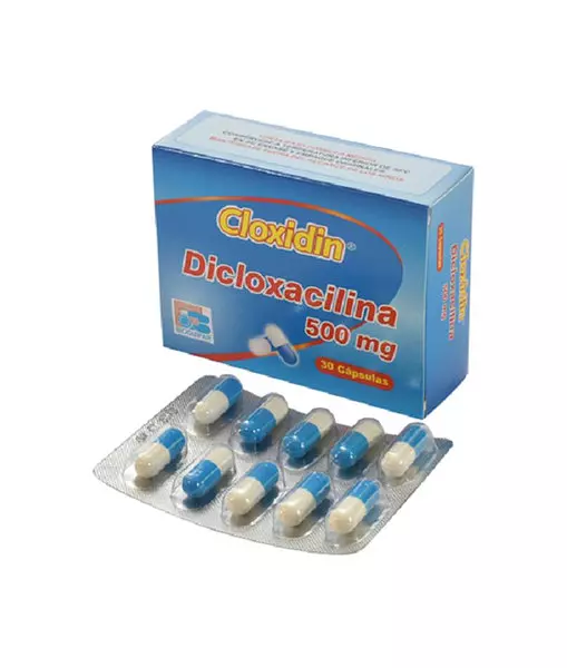 Cloxidin Dicloxacilina 500 Mg